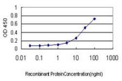DNAJB6, Mouse anti-Human, Clone: 2C11-C1, Abnova 100&mu;g; Unconjugated:Antibodies,