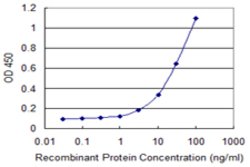 SLC17A4, Mouse anti-Human, Clone: 3E4, Abnova 100&mu;g; Unconjugated:Antibodies,