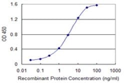 ABCC5, Mouse anti-Human, Clone: 1B12, Abnova 100&mu;g; Unconjugated:Antibodies,