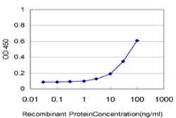 IL18BP, Mouse anti-Human, Clone: 2A9, Abnova 100&mu;g; Unconjugated:Antibodies,