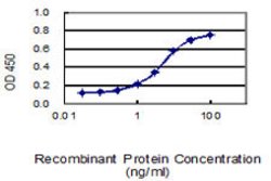 G3BP1, Mouse anti-Human, Clone: 2F3, Abnova 100&mu;g; Unconjugated:Antibodies,