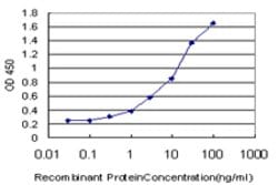 SLC25A13, Mouse anti-Human, Clone: 4F4, Abnova 100&mu;g; Unconjugated:Antibodies,