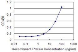 MPZL2, Mouse anti-Human, Clone: 2E10, Abnova 100&mu;g; Unconjugated:Antibodies,