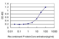 RAMP1, Mouse anti-Human, Clone: 1F1, Abnova 100&mu;g; Unconjugated:Antibodies,