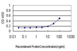 DNAJA2, Mouse anti-Human, Clone: 2A11-F2, Abnova 100&mu;g; Unconjugated:Antibodies,