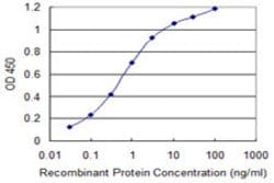 PGRMC2, Mouse anti-Human, Clone: 2A3, Abnova 100&mu;g; Unconjugated:Antibodies,