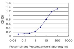 PPIE, Mouse anti-Human, Clone: 2F5, Abnova 100&mu;g; Unconjugated:Antibodies,