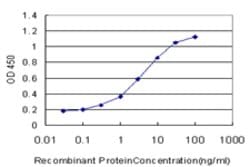 SEMA4B, Mouse anti-Human, Clone: 4B2, Abnova 100&mu;g; Unconjugated:Antibodies,