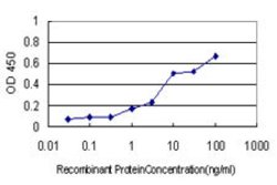 CGREF1, Mouse anti-Human, Clone: 2D7, Abnova 100&mu;g; Unconjugated:Antibodies,