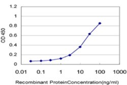 B3GNT2, Mouse anti-Human, Clone: 1A8, Abnova 100&mu;g; Unconjugated:Antibodies,