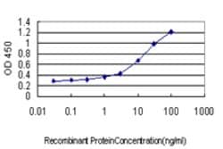 GADD45G, Mouse anti-Human, Clone: 1D3, Abnova 50&mu;g; Unconjugated:Antibodies,