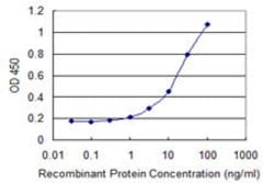 HSF2BP, Mouse anti-Human, Clone: 1C4, Abnova 100&mu;g; Unconjugated:Antibodies,