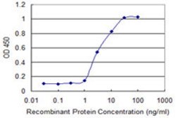 FGFR1OP, Mouse anti-Human, Clone: 1E8, Abnova 100&mu;g; Unconjugated:Antibodies,