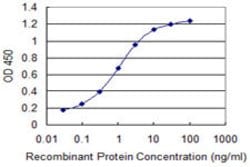 SUPT16H, Mouse anti-Human, Clone: 1D12, Abnova 100&mu;g; Unconjugated:Antibodies,