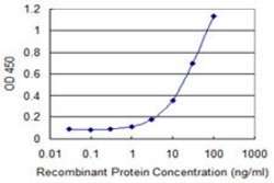 MSRB2, Mouse anti-Human, Clone: 3F12, Abnova 100&mu;g; Unconjugated:Antibodies,
