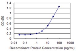 EXOSC7, Mouse anti-Human, Clone: 2F10, Abnova 100&mu;g; Unconjugated:Antibodies,