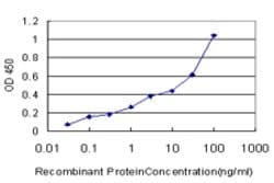 EXOC7, Mouse anti-Human, Clone: 1D4, Abnova 100&mu;g; Unconjugated:Antibodies,