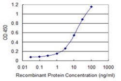 CCNDBP1, Mouse anti-Human, Clone: 3B7, Abnova 100&mu;g; Unconjugated:Antikörper