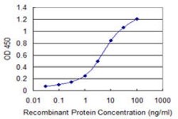 ORC3L, Mouse anti-Human, Clone: 1G1, Abnova 100&mu;g; Unconjugated:Antibodies,
