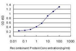 PPIL2, Mouse anti-Human, Clone: 2E11, Abnova 100&mu;g; Unconjugated:Antibodies,