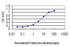 ACOT11, Mouse anti-Human, Clone: 4D1, Abnova 100&mu;g; Unconjugated:Antibodies,