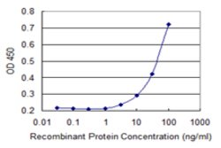 FBXO9, Mouse anti-Human, Clone: 1G12, Abnova 100&mu;g; Unconjugated:Antibodies,