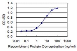 BBC3, Mouse anti-Human, Clone: 5D10, Abnova 100&mu;g; Unconjugated:Antibodies
