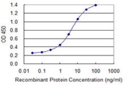 IL1F8, Mouse anti-Human, Clone: 1E4, Abnova 100&mu;g; Unconjugated:Antibodies,
