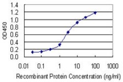 PCDH11X, Mouse anti-Human, Clone: 7B4, Abnova 50 &mu;g | Buy Online | Abnova | Fisher Scientific