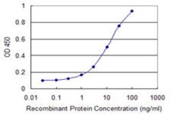 PRPF19, Mouse anti-Human, Clone: 2E5, Abnova 100&mu;g; Unconjugated:Antibodies,