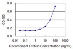 BAZ2B, Mouse anti-Human, Clone: 2D10, Abnova 100&mu;g; Unconjugated:Antibodies,