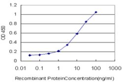 RAX, Mouse anti-Human, Clone: 3B3, Abnova 100&mu;g; Unconjugated:Antibodies,