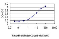 PRKAG2, Mouse anti-Human, Clone: 3C4, Abnova 100&mu;g; Unconjugated:Antibodies,