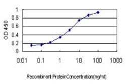 EVL, Mouse anti-Human, Clone: 5G1, Abnova 100&mu;g; Unconjugated:Antibodies,