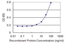 NCKIPSD, Mouse anti-Human, Clone: 1A10, Abnova 100&mu;g; Unconjugated:Antibodies,