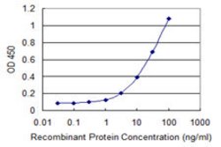 MBIP, Mouse anti-Human, Clone: 2E2, Abnova 100&mu;g; Unconjugated:Anticuerpos