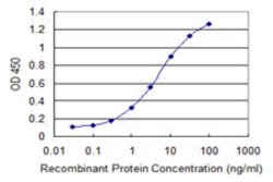 RAB8B, Mouse anti-Human, Clone: 1E4, Abnova 100&mu;g; Unconjugated:Antibodies,