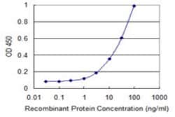 UBASH3A, Mouse anti-Human, Clone: 4D2, Abnova 100&mu;g; Unconjugated:Antibodies,