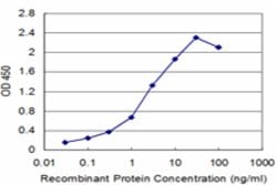 SLC6A20, Mouse anti-Human, Clone: 3G6, Abnova 100&mu;g; Unconjugated:Antibodies,
