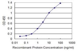 RNF111, Mouse anti-Human, Clone: 1C4, Abnova 100 &mu;g | Buy Online | Abnova | Fisher Scientific