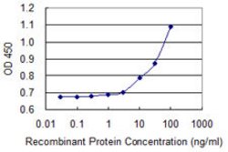 APTX, Mouse anti-Human, Clone: 2H6, Abnova 100&mu;g; Unconjugated:Antibodies,