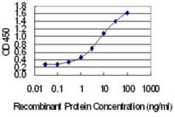 PRMT6, Mouse anti-Human, Clone: 3C3, Abnova 100&mu;g; Unconjugated:Antibodies,