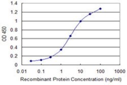 CDC37L1, Mouse anti-Human, Clone: 1D4, Abnova 100&mu;g; Unconjugated:Antibodies,