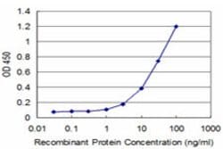 LMO3, Mouse anti-Human, Clone: 4A8, Abnova 100&mu;g; Unconjugated:Antibodies,