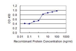 LXN, Mouse anti-Human, Clone: 8H5, Abnova 100&mu;g; Unconjugated:Antibodies,
