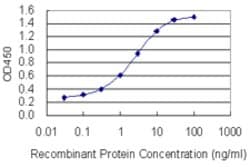 PBXIP1, Mouse anti-Human, Clone: 7E1, Abnova 100&mu;g; Unconjugated:Anticuerpos