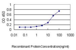 RHOJ, Mouse anti-Human, Clone: 1E4, Abnova 100 &mu;g | Buy Online | Abnova | Fisher Scientific