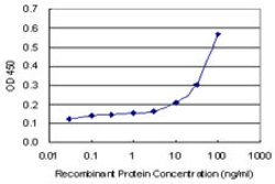 LRRN1, Mouse anti-Human, Clone: 3D11, Abnova 100&mu;g; Unconjugated:Antibodies,
