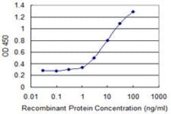 JAM2, Mouse anti-Human, Clone: 1C2, Abnova 100&mu;g; Unconjugated:Antibodies,