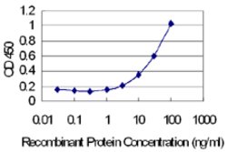 MID1IP1, Mouse anti-Human, Clone: 8G8, Abnova 100&mu;g; Unconjugated:Antibodies,